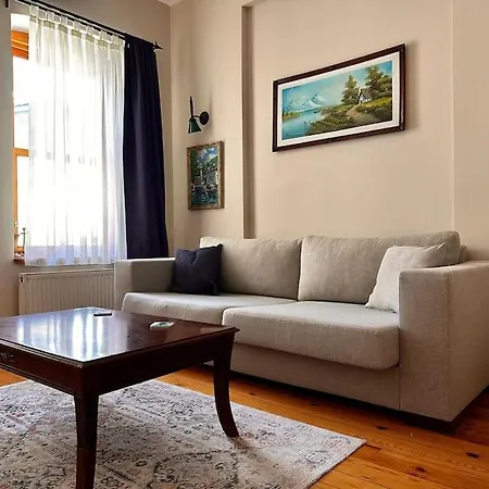 2br, 2ba, 4th Floor Of Historical Building ,galata Daire İstanbul