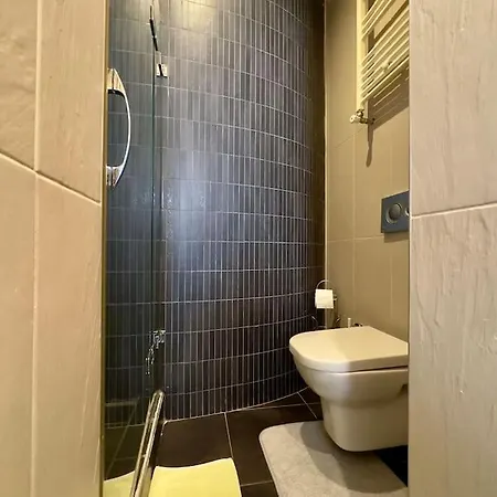 2br, 2ba, 4th Floor Of Historical Building ,galata Appartement Istambul
